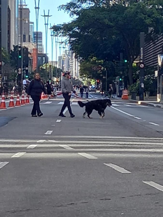 Hostel Trilhas E Rotas - A 150M Da Avenida Paulista São Paulo Exteriör bild